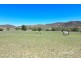 289 Tintinhull Road, Tamworth NSW 2340
