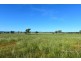 173 Glenbrook Road Rushes Creek Manilla, Tamworth NSW 2340