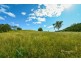 4127 Halls Creek Road, Halls Creek NSW 2346