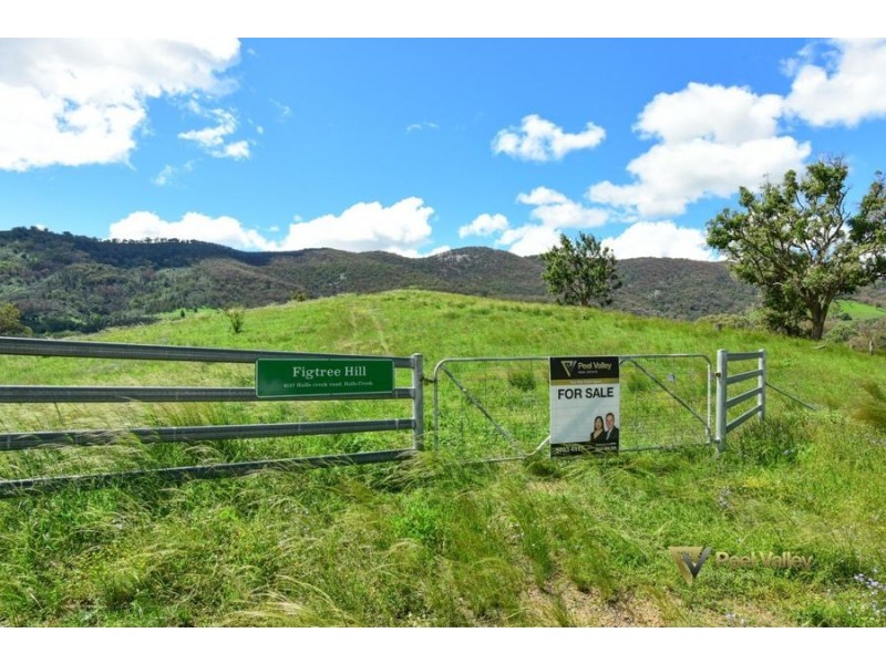 4127 Halls Creek Road, Halls Creek NSW 2346