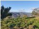 4127 Halls Creek Road, Halls Creek NSW 2346