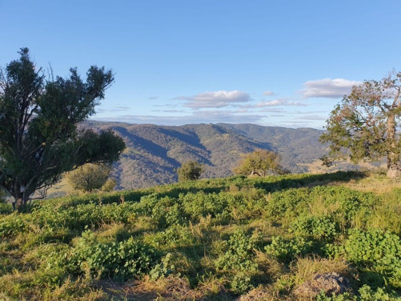 4127 Halls Creek Road, Halls Creek NSW 2346