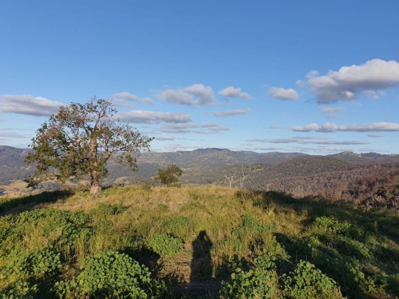 4127 Halls Creek Road, Halls Creek NSW 2346