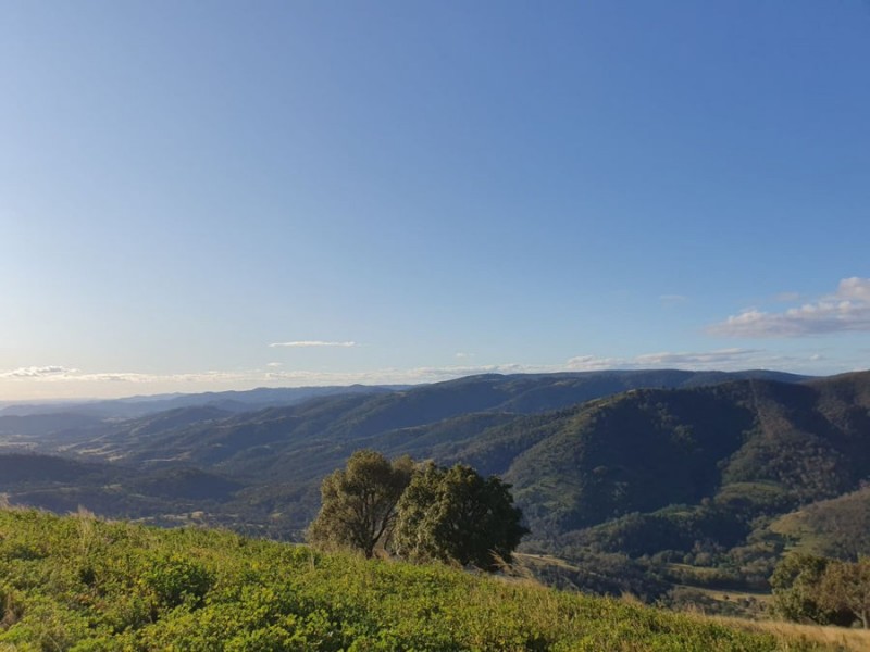 4127 Halls Creek Road, Halls Creek NSW 2346