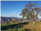 4127 Halls Creek Road, Halls Creek NSW 2346