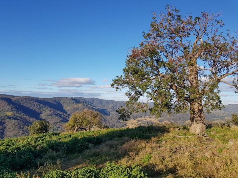 4127 Halls Creek Road, Halls Creek NSW 2346