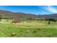 2005 Upper Moore Creek Road, Tamworth NSW 2340