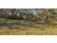 Lot 2 Halls Creek Road, Halls Creek NSW 2346