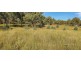 Lot 2 Halls Creek Road, Halls Creek NSW 2346