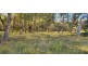 Lot 2 Halls Creek Road, Halls Creek NSW 2346