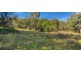Lot 2 Halls Creek Road, Halls Creek NSW 2346