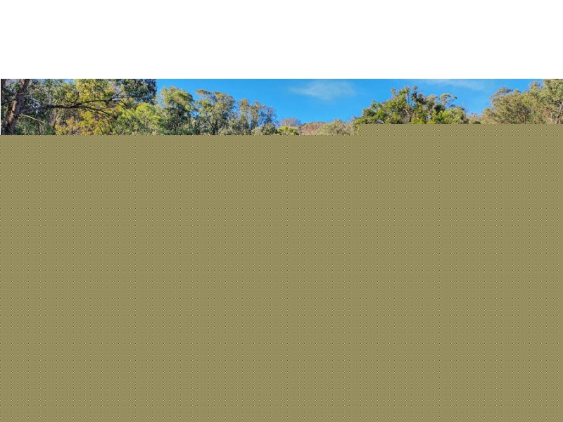 Lot 2 Halls Creek Road, Halls Creek NSW 2346
