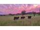 Lot 106 Nundle Road Nemingha, Tamworth NSW 2340