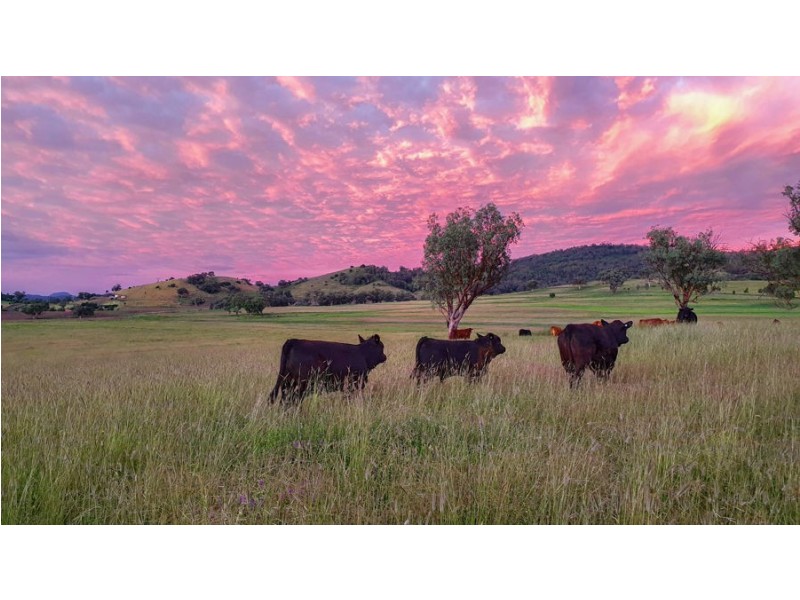 Lot 106 Nundle Road Nemingha, Tamworth NSW 2340