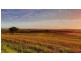 Lot 106 Nundle Road Nemingha, Tamworth NSW 2340