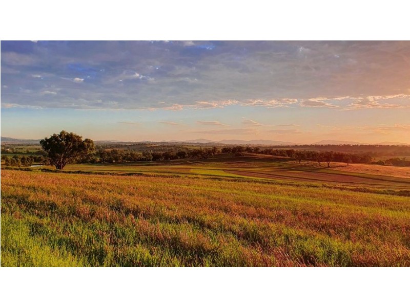 Lot 117 Nundle Road Nemingha, Tamworth NSW 2340