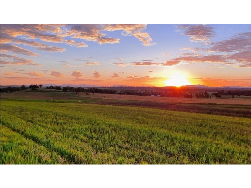 Lot 102 Nundle Road Nemingha, Tamworth NSW 2340