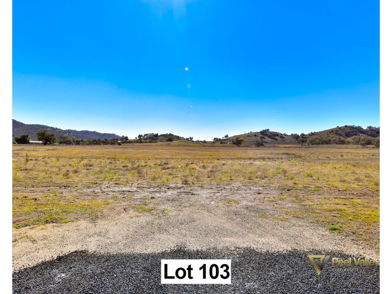 Lot 103 Premiers Street Nemingha, Tamworth NSW 2340