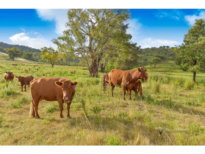 2 Pindari Drive, Tamworth NSW 2340