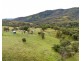 4192 Halls Creek Road, Halls Creek NSW 2346