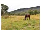 4192 Halls Creek Road, Halls Creek NSW 2346