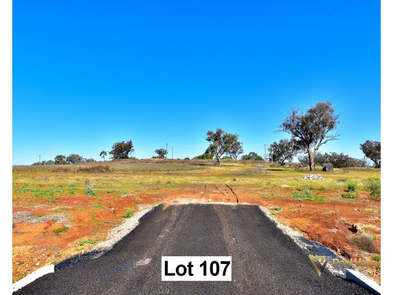 Lot 107 Premiers Street, Nemingha, Tamworth NSW 2340
