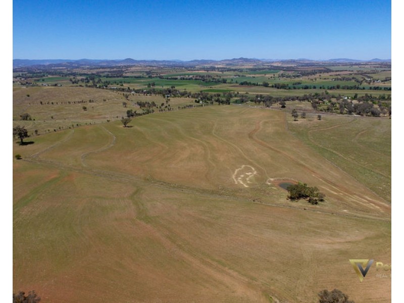 Lot 101 Supremacy Way, Nemingha, Tamworth NSW 2340