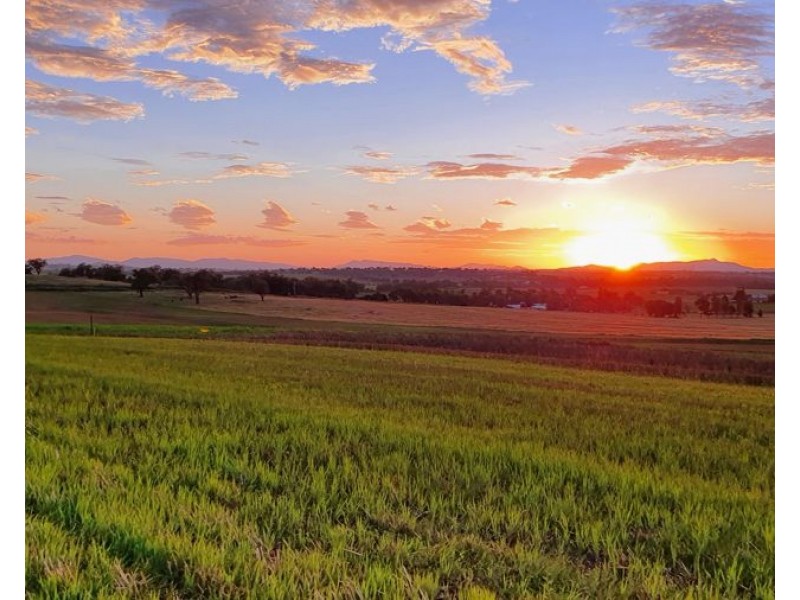 Lot 106 Premiers Street Nemingha, Tamworth NSW 2340