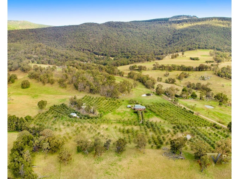 1403 Duncans Creek Road Duncans Creek, Tamworth NSW 2340
