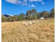 1403 Duncans Creek Road Duncans Creek, Tamworth NSW 2340
