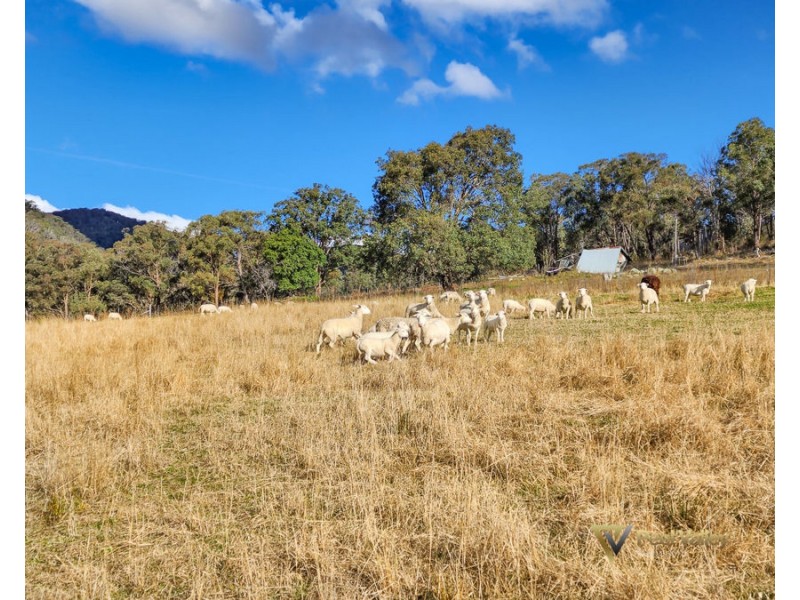 1403 Duncans Creek Road Duncans Creek, Tamworth NSW 2340