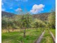 1403 Duncans Creek Road Duncans Creek, Tamworth NSW 2340