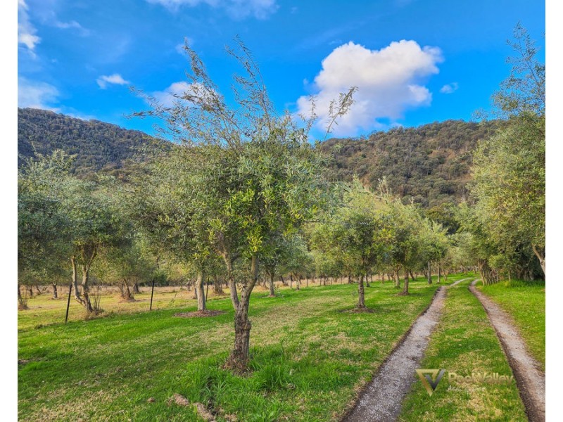 1403 Duncans Creek Road Duncans Creek, Tamworth NSW 2340