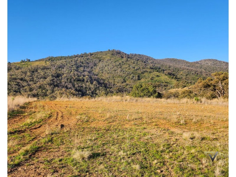 Lot 1 Halls Creek Road, Halls Creek NSW 2346
