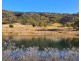 Lot 1 Halls Creek Road, Halls Creek NSW 2346