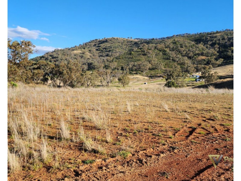Lot 1 Halls Creek Road, Halls Creek NSW 2346