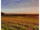 Lot 107 Premiers Street, Nemingha, Tamworth NSW 2340