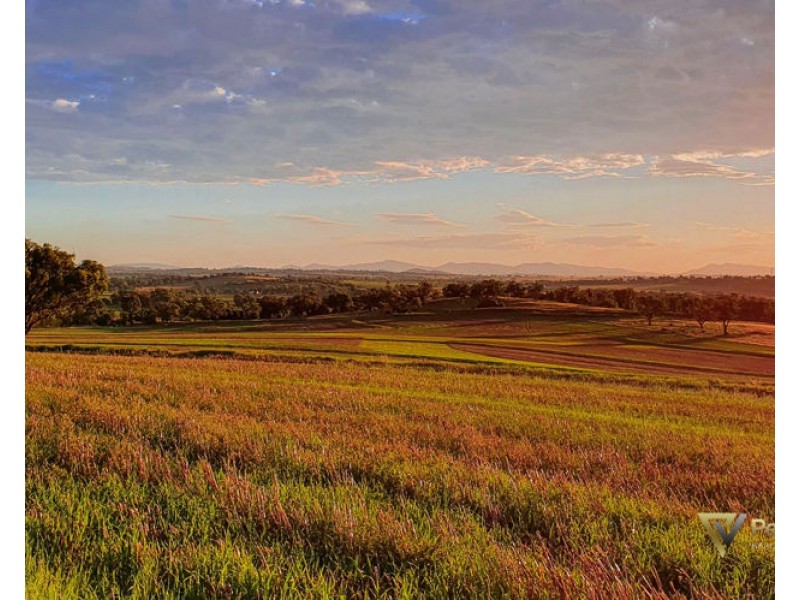 Lot 107 Premiers Street, Nemingha, Tamworth NSW 2340