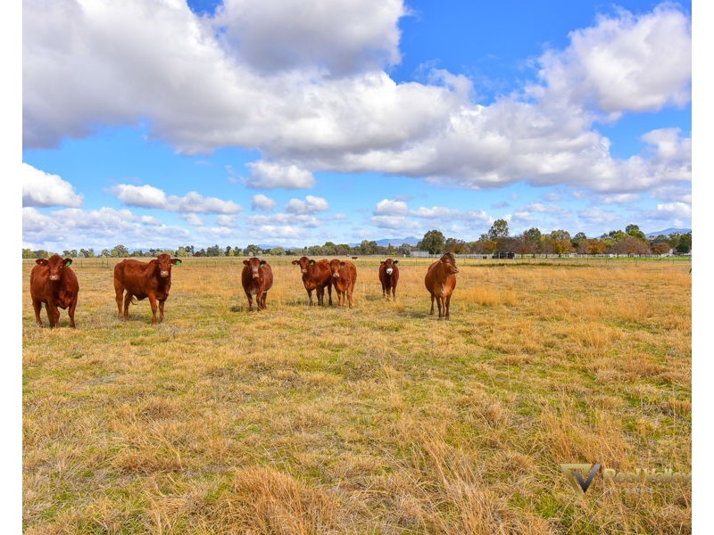 485 Bournes Lane, Tamworth NSW 2340