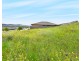 14 Currawong Drive Calala, Tamworth NSW 2340