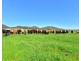 773 Back Kootingal Road Kootingal, Tamworth NSW 2340