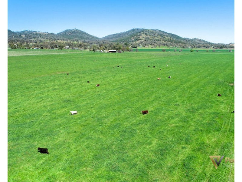 773 Back Kootingal Road Kootingal, Tamworth NSW 2340