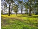 48 Rees James Road, Raymond Terrace NSW 2324