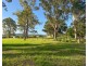 48 Rees James Road, Raymond Terrace NSW 2324
