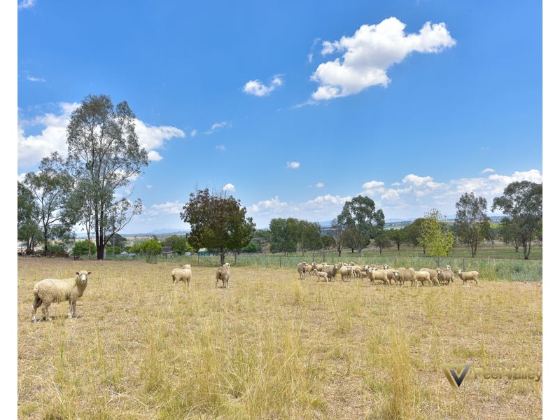 74 Martins Lane, Tamworth NSW 2340