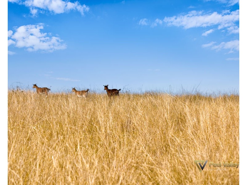 28 Premiers Street, Tamworth NSW 2340