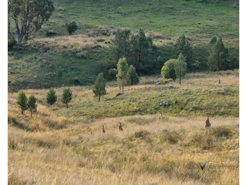 Lot 405 Winners Close, Tamworth NSW 2340