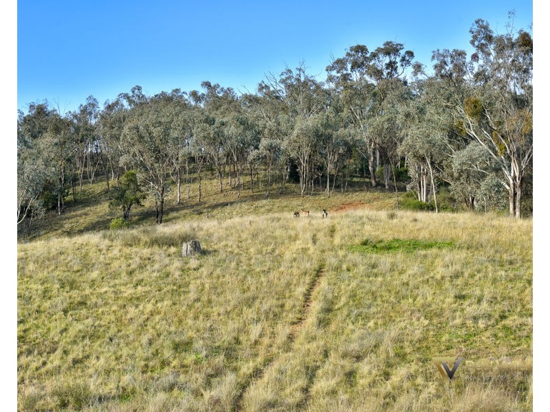 Lot 406 Winners Close, Nemingha NSW 2340