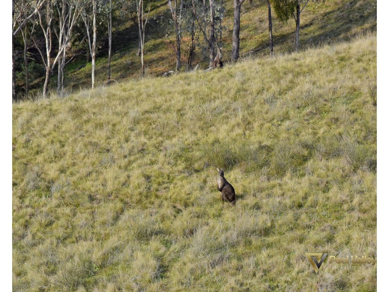 Lot 406 Winners Close, Nemingha NSW 2340