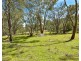 Lot 1 & Lot 2 Halls Creek Road, Manilla NSW 2346